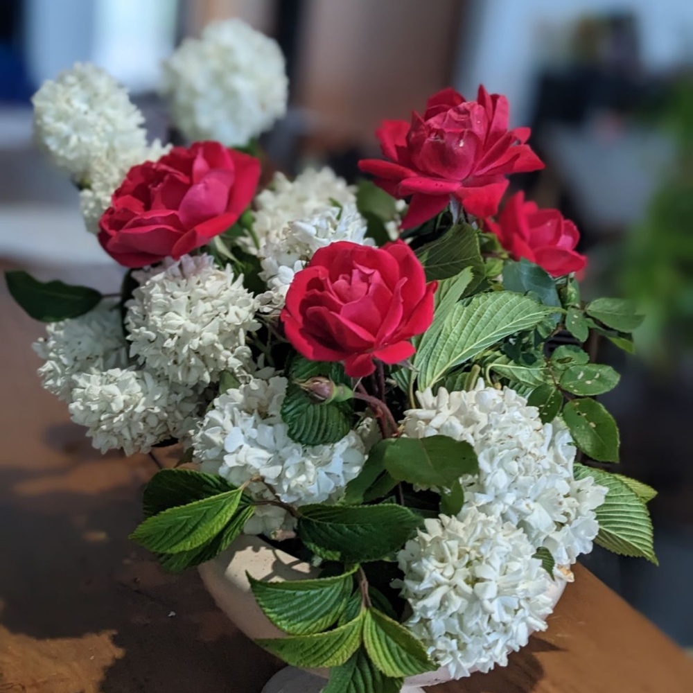 Meet your Posher, D.